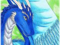 a_1236193528639_Inusia-chan_-_Saphira_by_Inusia_chan.jpg